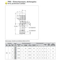 Spandau K&uuml;hlwasserpumpe - 230/400 Volt - PRG 6 - Eintauchtiefe: 270 mm - 59 l/min