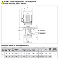 Spandau K&uuml;hlwasserpumpe - 230/400 Volt - PSH  60 - Eintauchtiefe: 300-550 mm - 640 l/min.- 3 kW