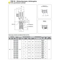 Spandau K&uuml;hlwasserpumpe - 230/400 Volt - PSR  02 - Eintauchtiefe: 137-739 mm - 60 l/min. - 0,37-3 kW