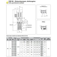 Spandau K&uuml;hlwasserpumpe - 230/400 Volt - PSR  04 - Eintauchtiefe: 137 mm - 110 l/min - 0,37 kW