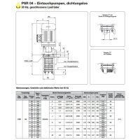 Spandau K&uuml;hlwasserpumpe - 230/400 Volt - PSR  04 - Eintauchtiefe: 309 mm - 110 l/min - 1,5 kW