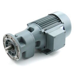 SKF Getriebemotor IP55 - 220 - 240 V / 380 - 420 V, 50 Hz (+/-5%)