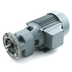 SKF 248-721.03+1FX - Getriebemotor IP55