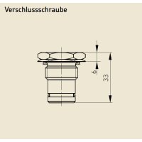 SKF 833-030-014 - Verschlusschraube
