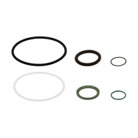 SKF Reparatursatz 995-901-056 - Dichtungen - FPM