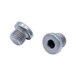 SKF Verschlussschraube - M10x1 - Stahl - Innen-Sechskant