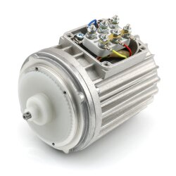 SKF Ersatzmotor DU56N2075+299 - für Zahnradpumpe Serie M