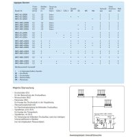 SKF Einleitungspumpe MKF1-11BX03000 - für Fließfett - 24 Volt - 1,8 Liter - 0,1 l/min - Ungesteuert mit Klemmleiste und Drucktaster - ohne Füllstandsschalter - ohne Druckschalter - ohne Manometer - 1 Stopfen - 1 Kabelverschraubung