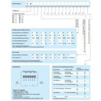 SKF Vorschmierverteiler VR12FJJJJJJJJJJJJZ - 12 Dosierstellen - 1 / 1 / 1 / 1 / 1 / 1 / 1 / 1 / 1 / 1 / 1 / 1 cm³ - Hauptleitungsarmatur: G 1/4