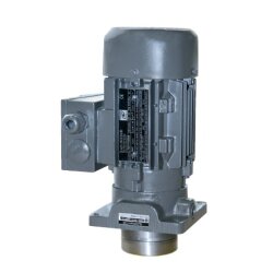 SKF  Zahnradpumpe UC - 230/400 Volt - 0,5 l/min - 60 bar - für Öl