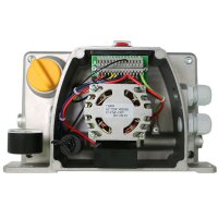 Delimon Einleitungspumpe Surefire II - für Fliessfett - ohne Steuerung -6 Liter - 24 Volt