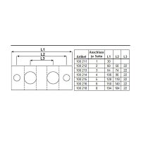 2er Nippelblock - M10 x 1 Gewinde - 60 mm lang - T-Bohrung - 2 Anschlüsse - Stahl