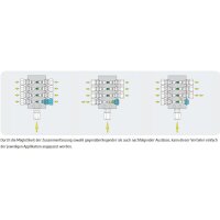 Delimon Progressivverteiler PVB06A01AAA00XV01 - Verteiler PVB
